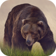 プログラムのアイコン：Bear Sounds