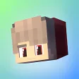 Skins for Minecraft