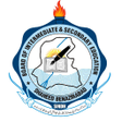 Icon of program: BISE SBA