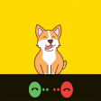 Video call and Chat from Dog