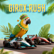 Ikon program: Girox Rush