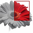 Icon of program: Natural Healing