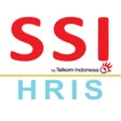 プログラムのアイコン：SSI HRIS