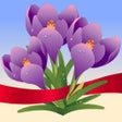 Programikonen: Spring Photo Frames