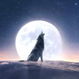 Icon of program: Moonovel-Werewolf Romance