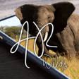 Ikon program: AR Wilds