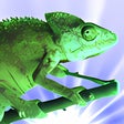 Icon of program: NumericalChameleon
