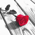 Icon of program: Photo Art - Color Effects
