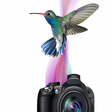 Ícone do programa: Corel AfterShot Pro