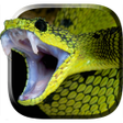 Icon of program: Snake Live Wallpaper