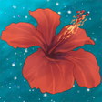 Icon of program: Hidden Gems of Bermuda 2 …