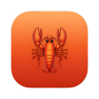 程序图标:OpenClaw Tool