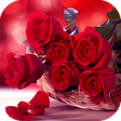 Ikona programu: Roses Flower Wallpapers H…