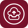 Ícone do programa: File Back Pro 2