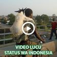 Icon of program: Video Lucu Status WA