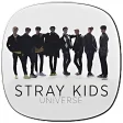 Stray Kids Universe