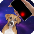 程序图标：Laser pointer for dogs PR…