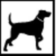 Ikon program: Lycos Extension