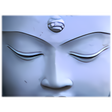 Icon of program: iWisdom