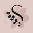 プログラムのアイコン：Silk  Sonder