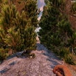 Symbol des Programms: (A19) GraksO's Tree Growt…