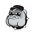 Ikon program: Bulldog VPN - Unlimited V…