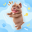 Ikona programu: Pit Bull Dance AR Dog Fi…