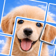Ícone do programa: Jigcard: Sort Puzzle