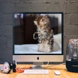 Icon of program: Cute Kittens & Kitty Cats…