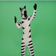 Icon of program: Dancing Zebra Extension