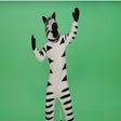 Dancing Zebra Extension