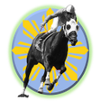 プログラムのアイコン：Horse Racing Tips and Sim…