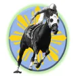 Horse Racing Tips and Simulati