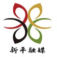 程序图标：大美新平