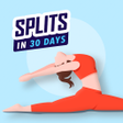 程序图标：Splits Training at home