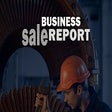 Icon of program: Business Sale Report