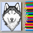 Ícone do programa: How to Draw Wolf Step by …