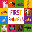 程序图标：First Words for Baby: Ani…