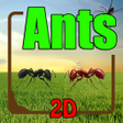 プログラムのアイコン：Ants 2D - Lead Your Colon…