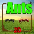 Ants 2D - Lead Your Colony to