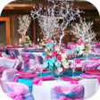 程序图标：Party Design Decor