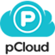 プログラムのアイコン：pCloud Save