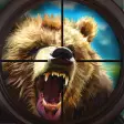 Bear Target Shooting