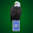 Icon of program: Poker Hold'Em