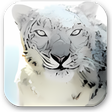 Icono de programa: Mac OS X Snow Leopard Wal…