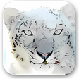 Ícone do programa: Mac OS X Snow Leopard Wal…