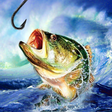 Ikon program: Fishing Champion