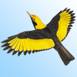 Icon of program: Morcombes Birds of Austra…