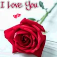 プログラムのアイコン：Love Romantic Flowers GIF