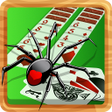 プログラムのアイコン：Spider Solitaire Online